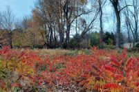 Lakefront Property for sale in Montcalm County, Michigan