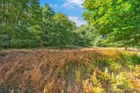 Undeveloped Land for sale in Mecosta County, Michigan