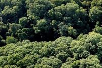 Land for sale in Ottawa County, Michigan