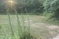 Undeveloped Land for sale in Mecosta County, Michigan