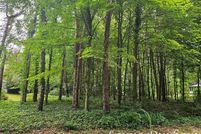 Undeveloped Land for sale in Allegan County, Michigan