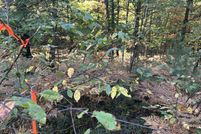 Undeveloped Land for sale in Lake County, Michigan