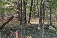 Oceanfront Property for sale in Lake County, Michigan