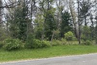Undeveloped Land for sale in Lake County, Michigan