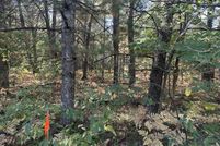 Land for sale in Lake County, Michigan