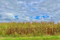 Land for sale in Hillsdale County, Michigan