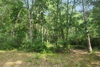 Land for sale in Mason County, Michigan