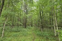 Homesite for sale in Lake County, Michigan
