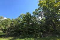 Undeveloped Land for sale in Lake County, Michigan