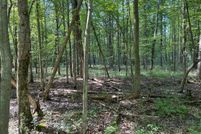 Land for sale in Midland County, Michigan