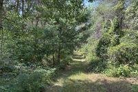 Land for sale in Osceola County, Michigan