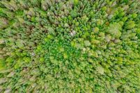 Undeveloped Land for sale in Mackinac County, Michigan