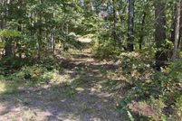 Undeveloped Land for sale in Allegan County, Michigan