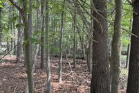 Undeveloped Land for sale in Oceana County, Michigan