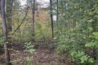 Land for sale in Livingston County, Michigan