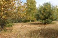 Land for sale in Osceola County, Michigan