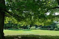 Recreational Property for sale in Oceana County, Michigan