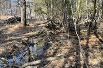 Land for sale in Lake County, Michigan