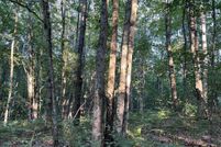 Undeveloped Land for sale in Lake County, Michigan