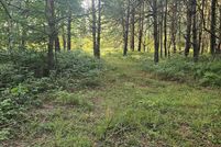 Land for sale in Manistee County, Michigan