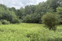 Land for sale in Lake County, Michigan