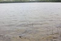 Land for sale in Antrim County, Michigan