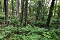 Land for sale in Newaygo County, Michigan