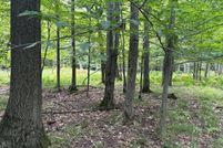 Land for sale in Manistee County, Michigan