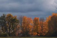 Undeveloped Land for sale in Kalamazoo County, Michigan