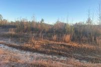 Land for sale in Wayne County, Mississippi