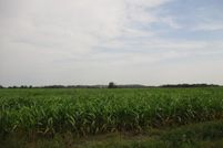 Undeveloped Land for sale in Craig County, Oklahoma