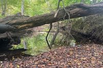 Land for sale in Halifax County, Virginia