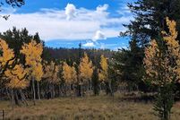 Homesite for sale in Park County, Colorado