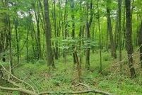 Land for sale in Tuscarawas County, Ohio