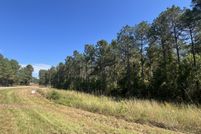 Land for sale in Winston County, Mississippi