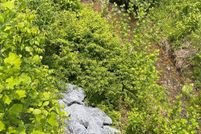 Farm and Ranch for sale in Frederick County, Maryland