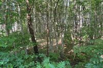 Land for sale in Louisa County, Virginia