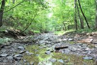 Undeveloped Land for sale in Frederick County, Virginia