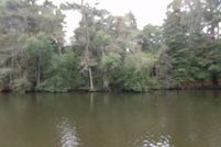 Undeveloped Land for sale in Sussex County, Delaware