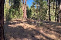 Undeveloped Land for sale in Valley County, Idaho