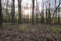 Land for sale in Grant County, West Virginia