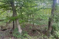 Land for sale in Shenandoah County, Virginia