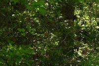 Land for sale in Cecil County, Maryland