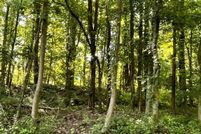 Land for sale in Calvert County, Maryland