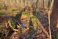 Undeveloped Land for sale in Orange County, Virginia