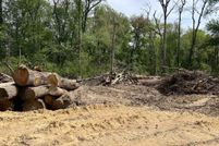 Undeveloped Land for sale in Sussex County, Delaware