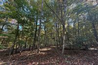Undeveloped Land for sale in Frederick County, Virginia