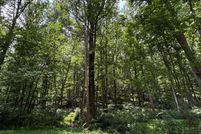 Land for sale in Carroll County, Maryland