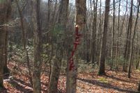 Land for sale in Hardy County, West Virginia