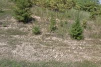 Homesite for sale in Spotsylvania County, Virginia